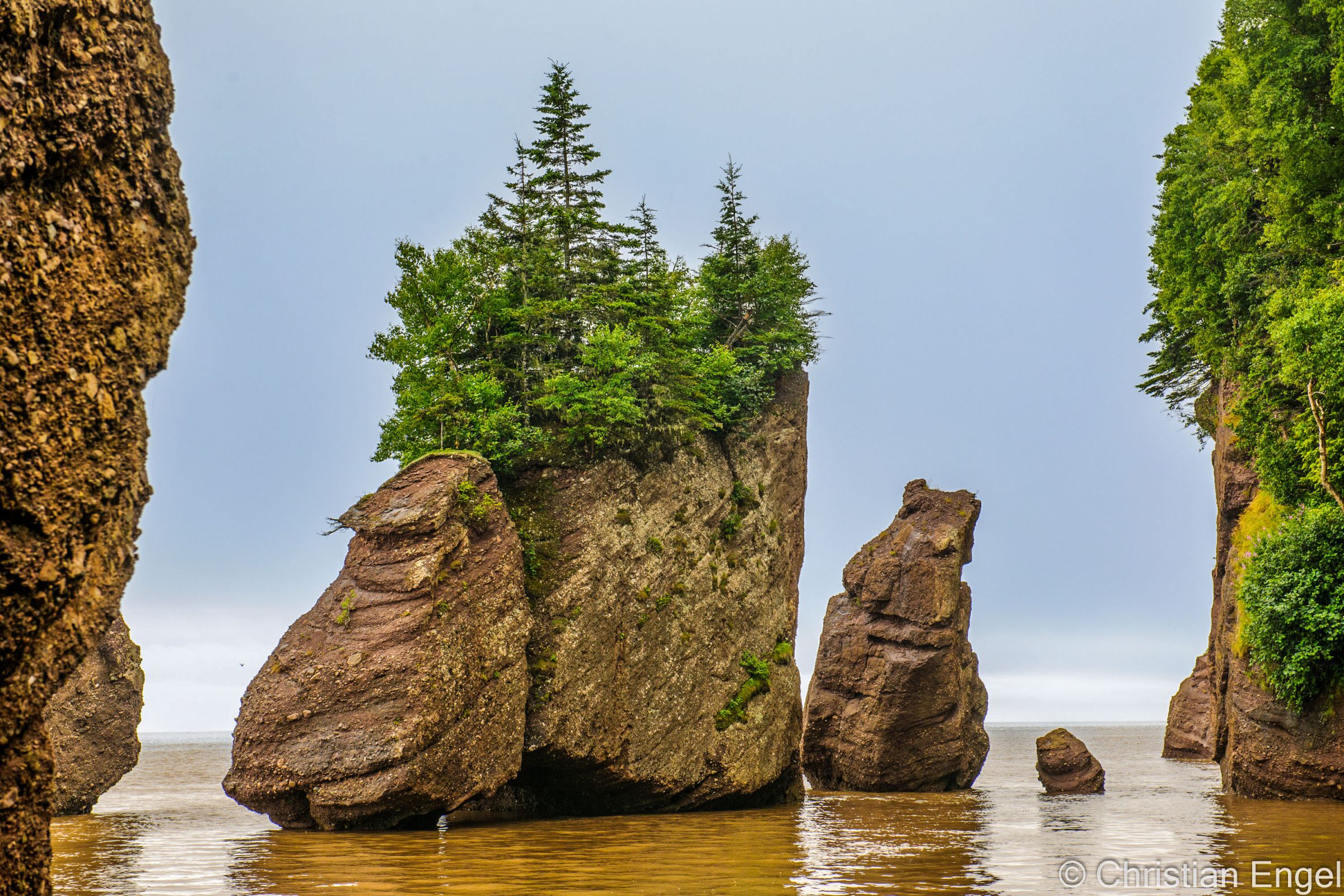Hopewell Rocks Tide Times and 7 Tips for the Highest Tides in the World